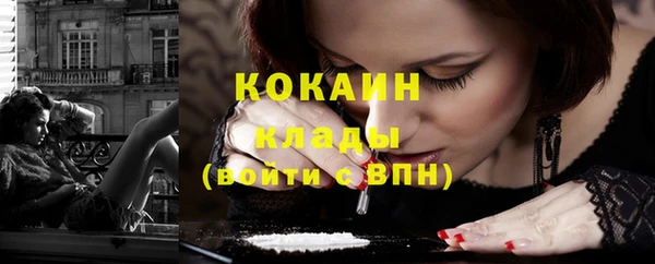 шишки Лиски