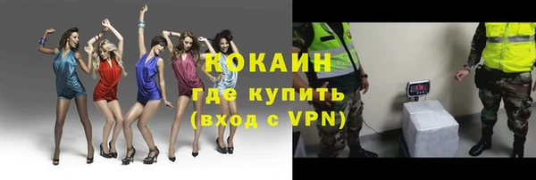 шишки Лиски