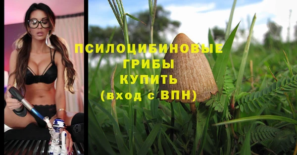 MDMA Липки