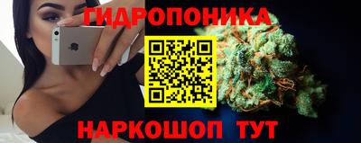 apvp Кандалакша