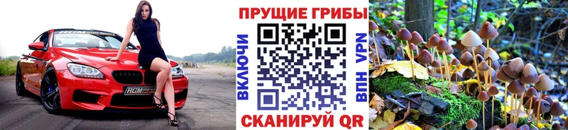 Галлюциногенные грибы мицелий где купить наркоту Шали