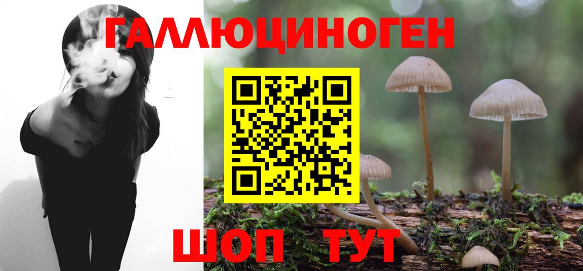 Псилоцибиновые грибы мицелий Шали