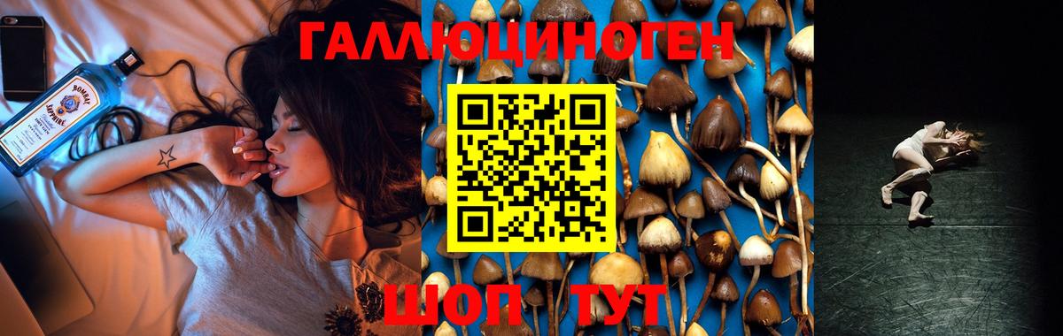 Псилоцибиновые грибы мухоморы  Вход с VPN  Псилоцибиновые грибы мицелий  Шали 