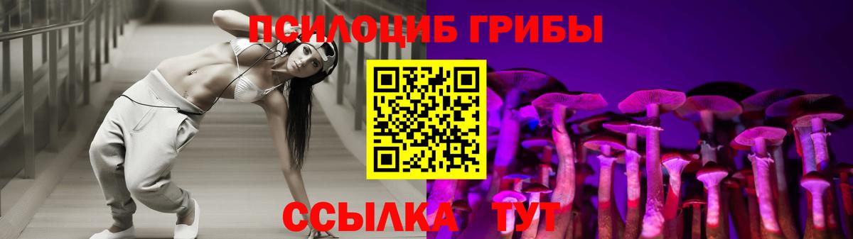 Галлюциногенные грибы Psilocybe  Шали 